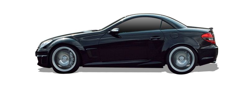 SLK 2011-