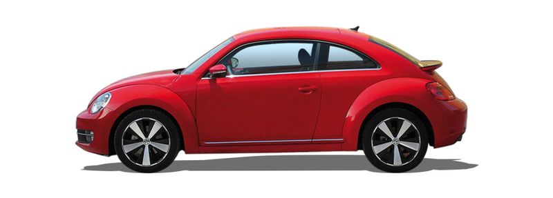 BEETLE 2011-2019