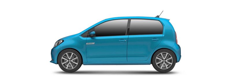 MII 2011-